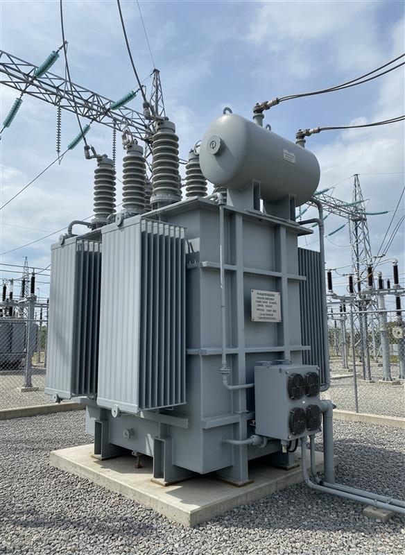 Power Sector